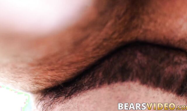 Inked bear Atlas Grant hard bareback banging chubby gay