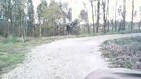 Portuguese Bear Strips and Shows His Big Cock