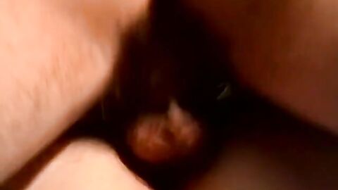 JoeSchmoeXXX.com - Skinny bi dude fucks his chubby lady friend till cumming