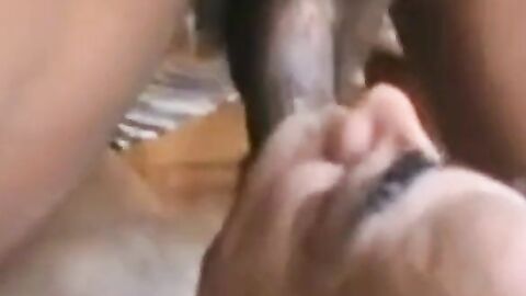 Grandpa's Oral Adventure