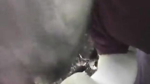 Bear Cub Blows a Load in His Mouth and Swallows