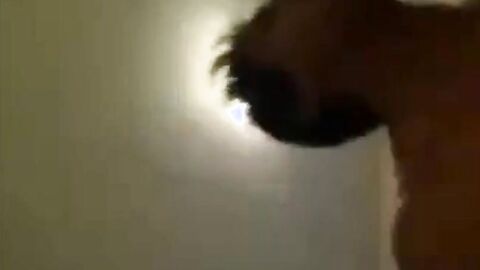 Bareback Amateur Anal Sex with Twinks