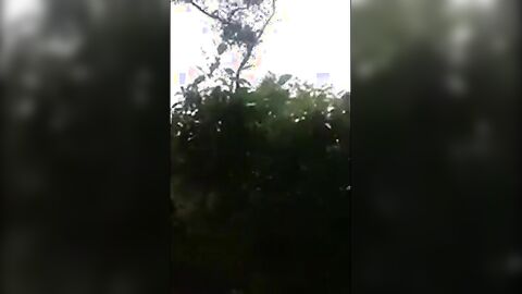 Big-Cock Latino Public Forest Masturbation Solo