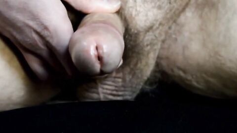 Fat Bear's Small Cock Cums for You