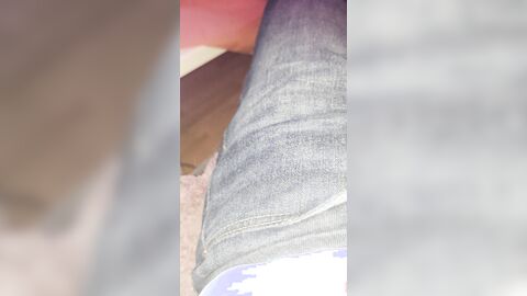 Levis 501 Schwanz