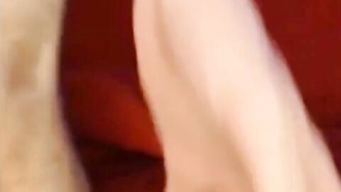 Webcam Twinks in Action