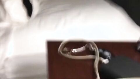 About the Bareback Gurls