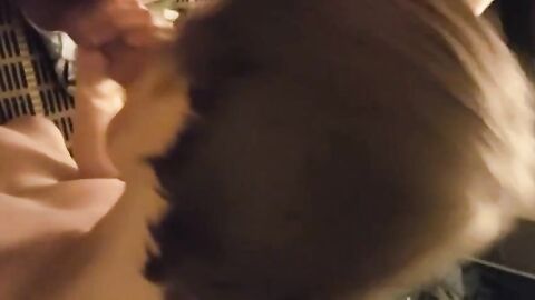 Amateur Twink Webcam Blowjob