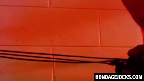 Muscular men are helpless while bound tightly together