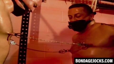 Muscular men are helpless while bound tightly together