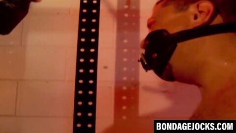 Muscular men are helpless while bound tightly together