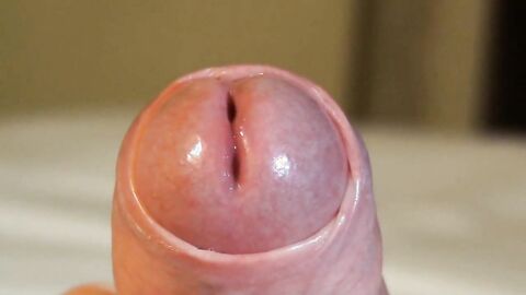 Ma grosse queue en érection