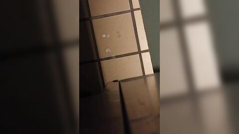 Understall Cruising: Suck and Cum