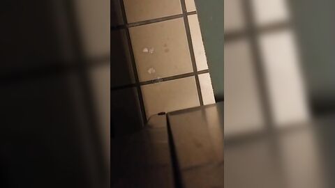 Understall Cruising: Suck and Cum