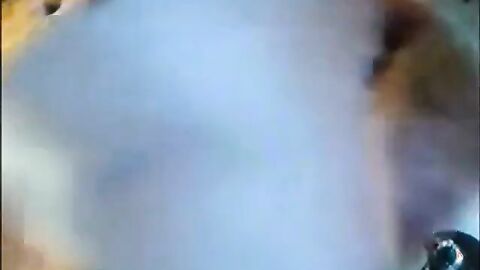 Big Black Cocks Bareback