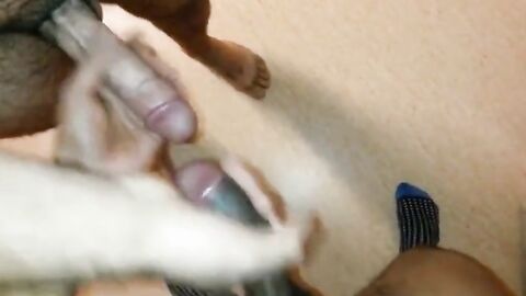 Hairy Indian Bear's First Time