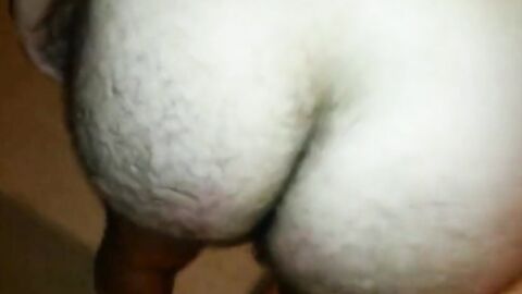 Hairy Indian Bear's First Time