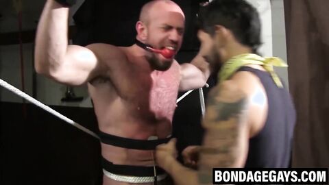 Bald muscle god bound and gagged for Master's use