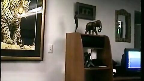 Hairy hunk groans while fisting his hard veiny snake