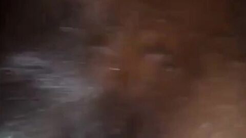 Interracial Bareback with the Afternoon Visitor