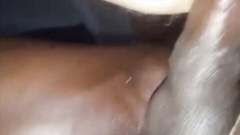 Interracial Bareback with the Afternoon Visitor