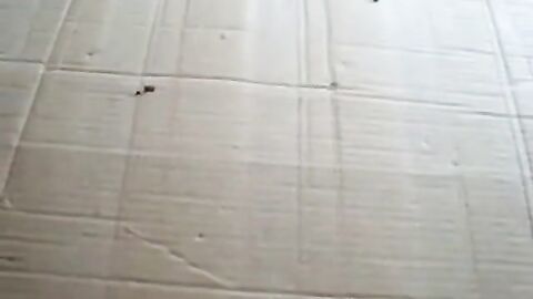 Big Load of Cum for You