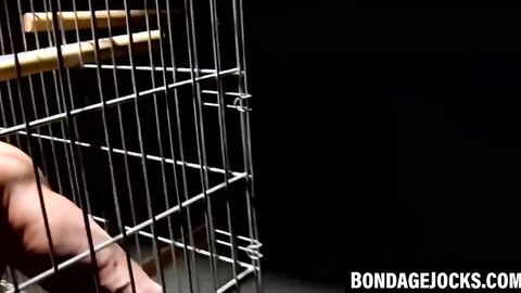 Muscle slave blindfolded and teased in a tight cage