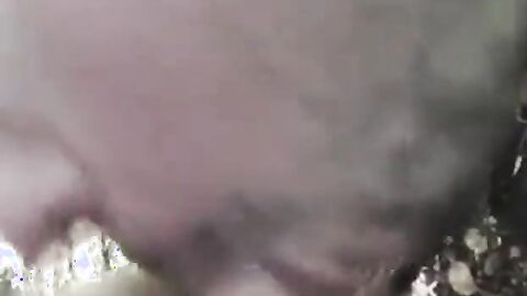 Bear Cub Blows a Load in His Mouth and Swallows