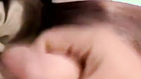 JoeSchmoeXXX.com - Mature black gay enjoys young balls and warm cum in mouth