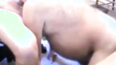 Bearded Man's Solo Play