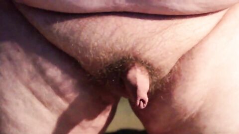 Chubby Guy's Little Joystick Swings Freely