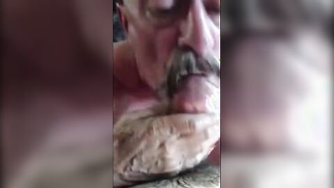Big Bear Cock Sucked Silly by Daddy