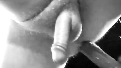 Twink's Toy Adventure