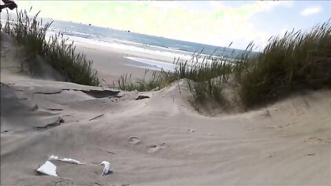 Exhibitionist Strokes Hard on the Beach