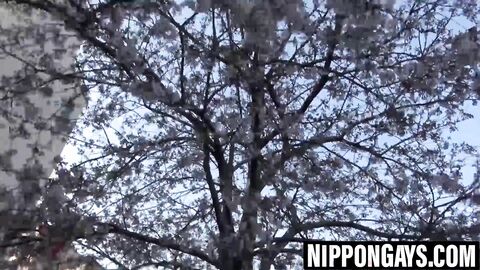 Juicy Japanese twinks fuck till cum blasts out