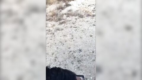 Sucking Dick on the Beach