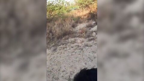 Sucking Dick on the Beach