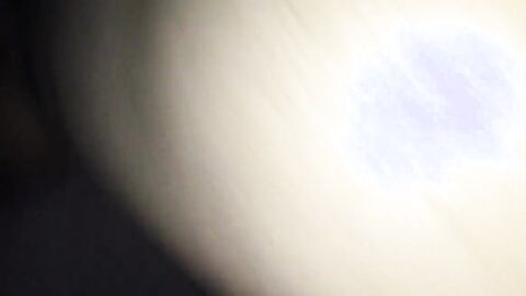 Fucking My Friend's Latin Ass Bareback