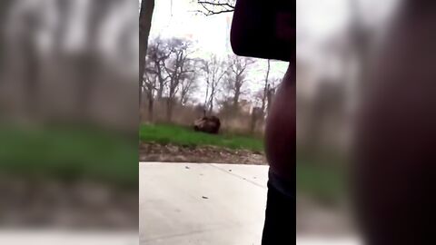 Older Black Man Sucks My Cock Outdoors for Cash