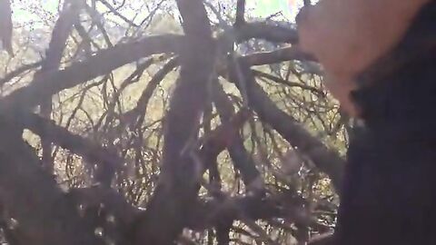 Bearded Stranger's Outdoor Adventure