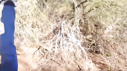 Bearded Stranger's Outdoor Adventure