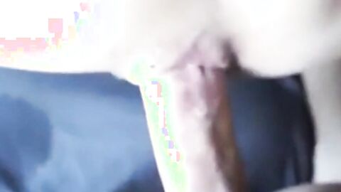 Creaming a Gaping Crossdresser's Hole