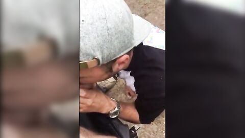 Fat Cock Sucking in the Woods by Horny Amateur