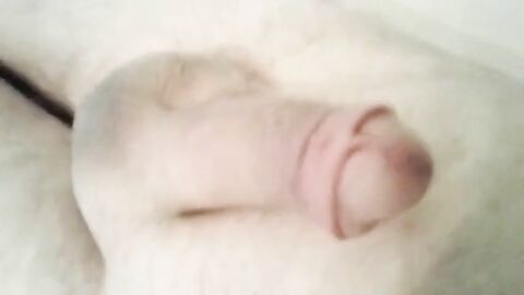 Small Cock Handjob Massage