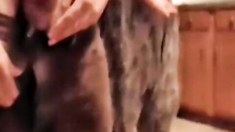 JoeSchmoeXXX.com - Two young amateurs jack off while fat mature dude services them