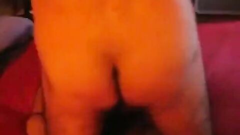 Amateur Bears: Dos Maduros