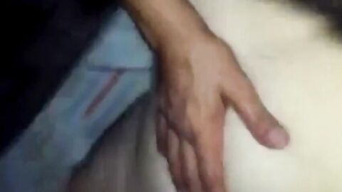 Bear Daddy's Cock Craze