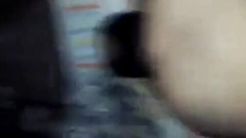 Bear Daddy's Cock Craze