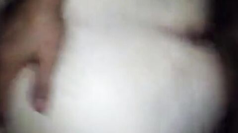 Bear Daddy's Cock Craze