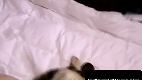 Fat gal Brenda ravishes boytoyâs dick in rough pounding anal